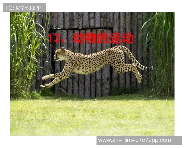 肾上腺足球的奇妙世界探索与运动科学的深度结合